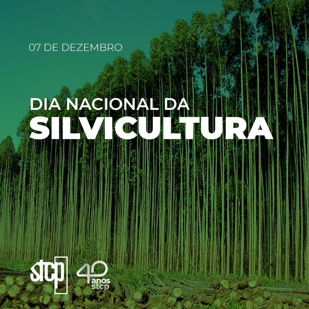 Dia Nacional Da Silvicultura Stcp