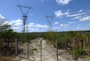 ESTUDO DA ECOLOGIA DA PAISAGEM DA ÁREA DE INFLUÊNCIA DA LINHA DE TRANSMISSÃO MILAGRES/COREMAS – C2