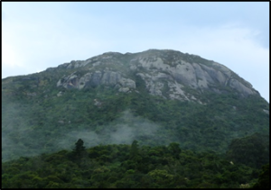 PLANO DE MANEJO DO PARQUE ESTADUAL SERRA DA BAITACA, ESTADO DO PARANÁ (INSTITUTO AMBIENTAL DO PARANÁ – IAP / COMPANHIA PARANAENSE DE GÁS – COMPAGAS, 2017)