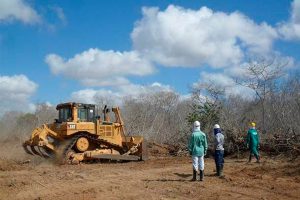 ASV E REGASTE/AFUGENTAMENTO DE FAUNA DE 03 COMPLEXOS EÓLICOS DA ENEL