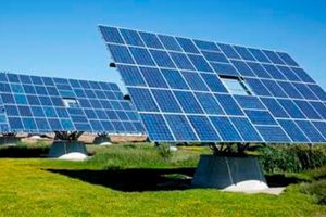 PBA E ATENDIMENTO DE DEMAIS CONDICIONANTES AMBIENTAIS DAS LPS E LIS DOS PARQUES SOLARES BOM JESUS DA LAPA E XIQUE-XIQUE – ENEL