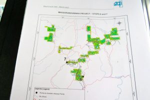 GERENCIAMENTO DE PROPRIEDADES/PROJETOS FLORESTAIS LOCALIZADOS NA REGIÃO NORDESTE DO ESTADO DE SANTA CATARINA