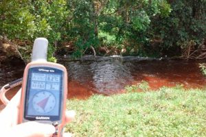 LEVANTAMENTO DE DADOS PARA INVENTÁRIO FLORESTAL NACIONAL NO ESTADO DO MATO GROSSO