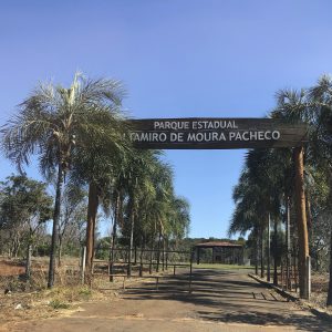 NOVO PROJETO EM PARQUES DE GOIÁS