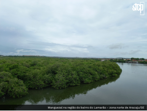 ESTUDOS AMBIENTAIS EM SERGIPE