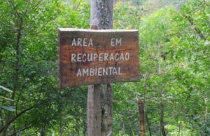 ELABORAÇÃO DO PLANO DE MANEJO DA ÁREA DE PROTEÇÃO AMBIENTAL MUNICIPAL BORORÉ-COLÔNIA , SÃO PAULO