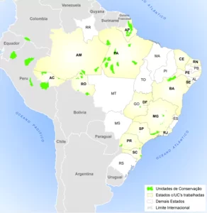 A STCP elaborou 135 planos de manejo de unidades de Conservação no Brasil e na América Latina, abrangendo uma área de mais de 25 milhões de hectares. Os planos de manejo envolveram unidades de conservação em biomas como Amazônia (inclusive Peruana), Caatinga, Cerrado, Mata Atlântica e regiões costeiras e insulares. Nos trabalhos foram realizadas diversas oficinas participativas e capacitações para a construção desses planos, envolvendo as comunidades do entorno e tradicionais (ribeirinhos, indígenas, agricultores familiares), bem como técnicos e pesquisadores. Os órgãos atendidos foram: ICMBio, IBAMA, Secretarias Estaduais e municipais de meio ambiente e empresas privadas.