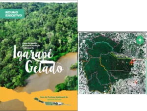 ELABORAÇÃO DO PLANO DE MANEJO DA ÁREA DE PROTEÇÃO AMBIENTAL DO IGARAPÉ GELADO