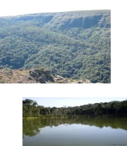 ELABORAÇÃO DO PLANO DE MANEJO DE PARQUES ESTADUAIS NO PARANÁ