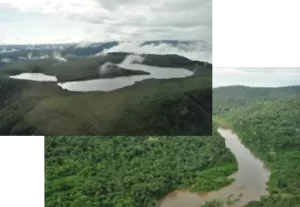 ELABORAÇÃO DOS PLANO DE MANEJO DE USO MÚLTIPLO DAS FLORESTAS NACIONAIS DO CARAJÁS E DO TAPIRAPÉ-AQUIRI