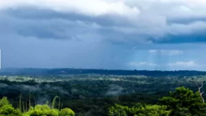 ESTUDO DE IMPACTO AMBIENTAL E RELATÓRIO DE IMPACTO AMBIENTAL DA EXPLOTAÇÃO DE BAUXITA NO PLATÔ BACABA DA MINERAÇÃO RIO DO NORTE S.A.