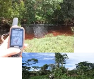 LEVANTAMENTO DE DADOS PARA INVENTÁRIO FLORESTAL NACIONAL NO ESTADO DE RONDÔNIA E NOROESTE DO ESTADO DE MATO GROSSO