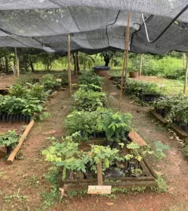 PLANO DE MANEJO DO PARQUE ESTADUAL DE SAGARANA, MINAS GERAIS