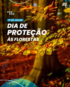 17 de Julho – Dia de Proteção às Florestas no Brasil