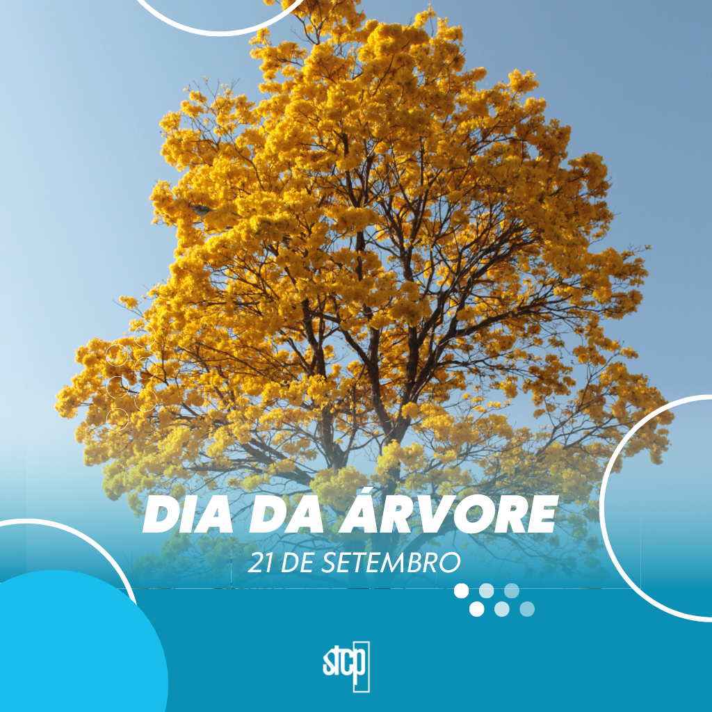 21/09 – Dia da árvore