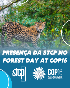 Presença da STCP no FOREST DAY at COP16