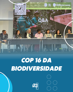 COP 16 da Biodiversidade